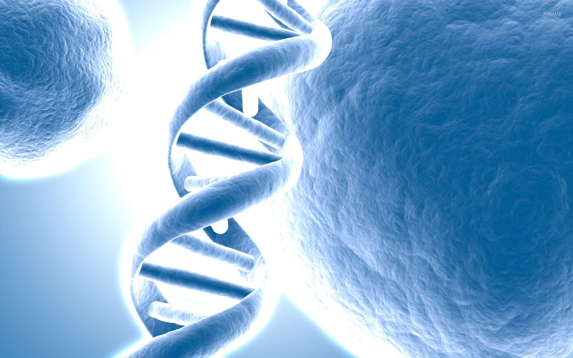 Dna Strand Wallpapers