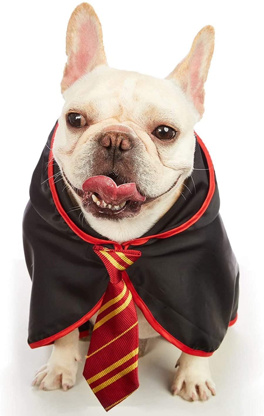 Dobby Harry Potter Dog Costume Wallpapers