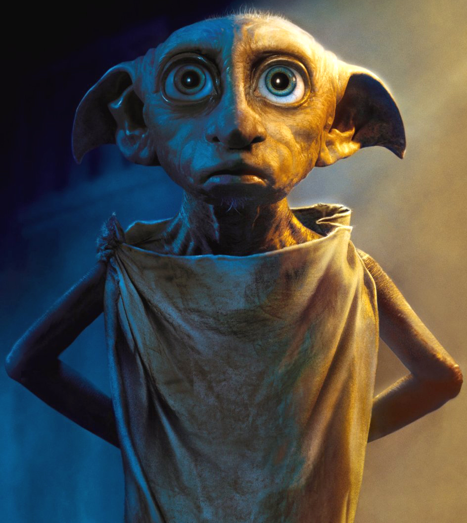 Dobby Harry Potter Dog Costume Wallpapers