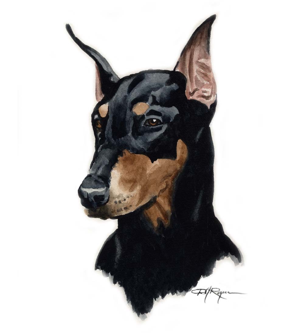 Doberman Pinscher Wallpapers