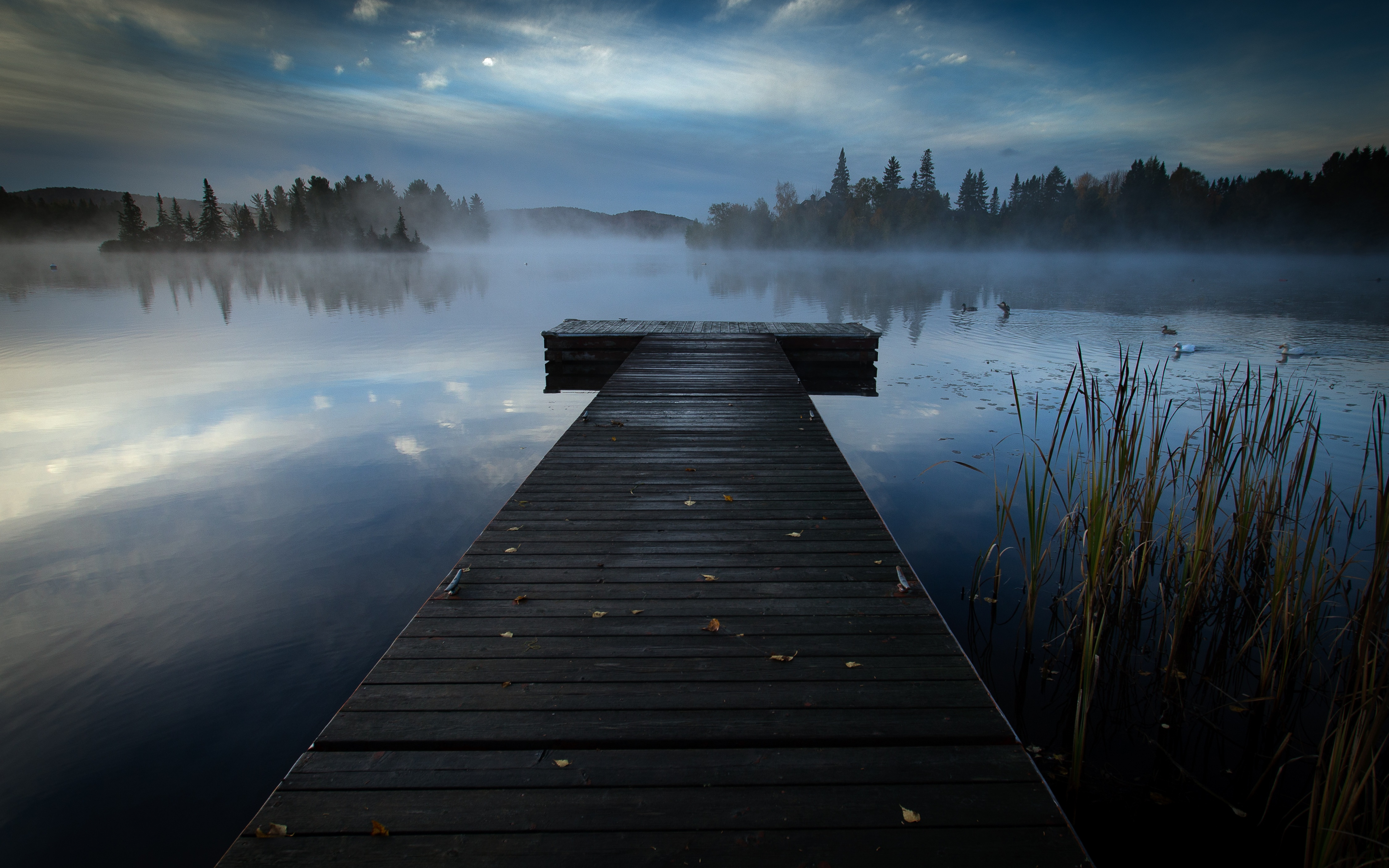 Docks At Night Wallpapers