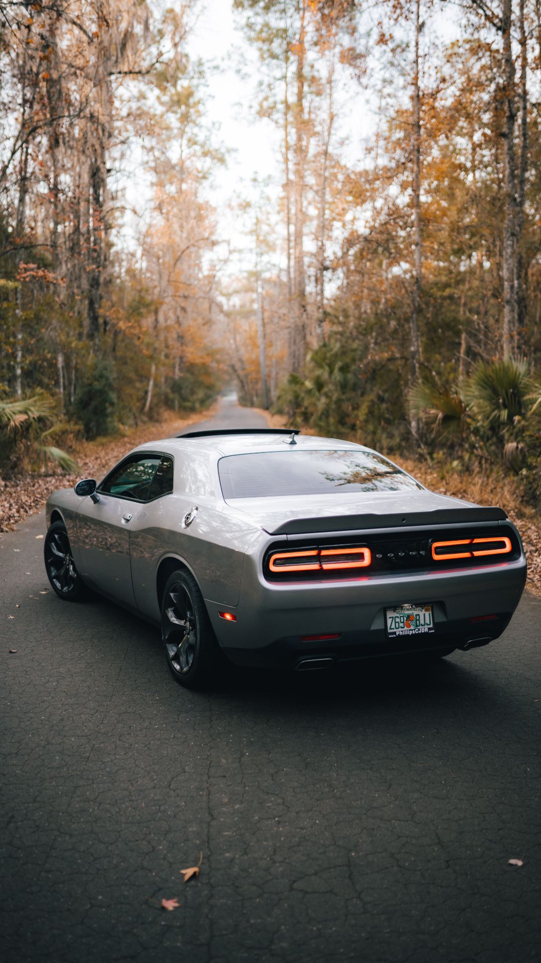 Dodge Challenger Hd Wallpapers