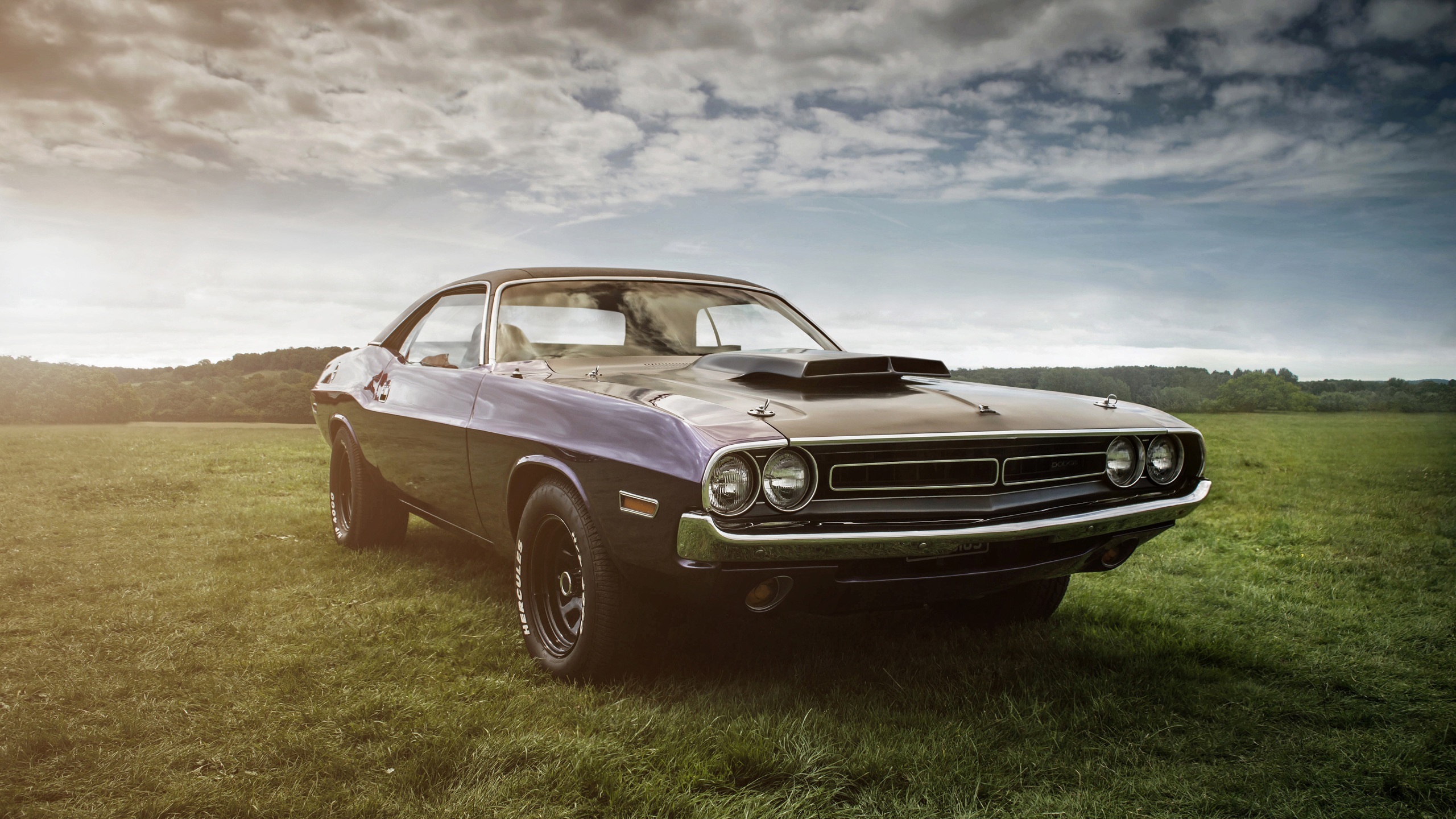 Dodge Challenger Hd Wallpapers