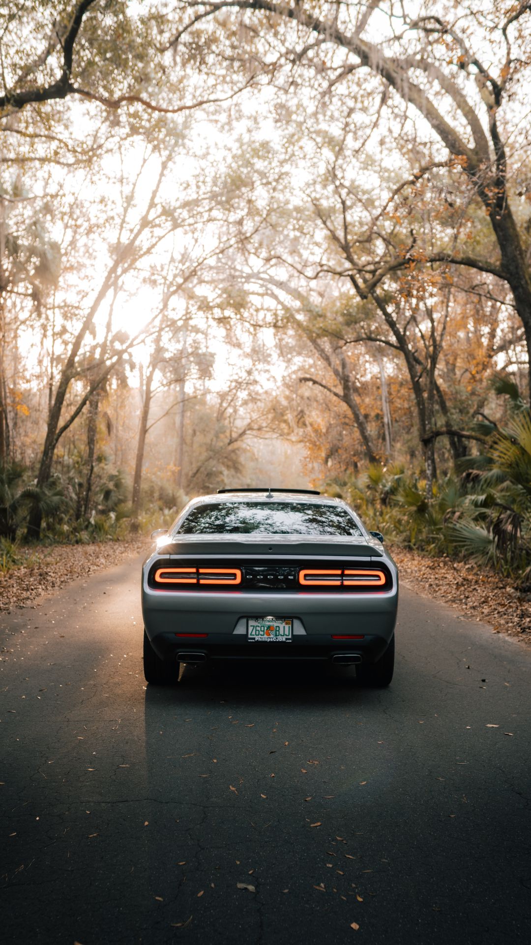 Dodge Challenger Iphone Wallpapers