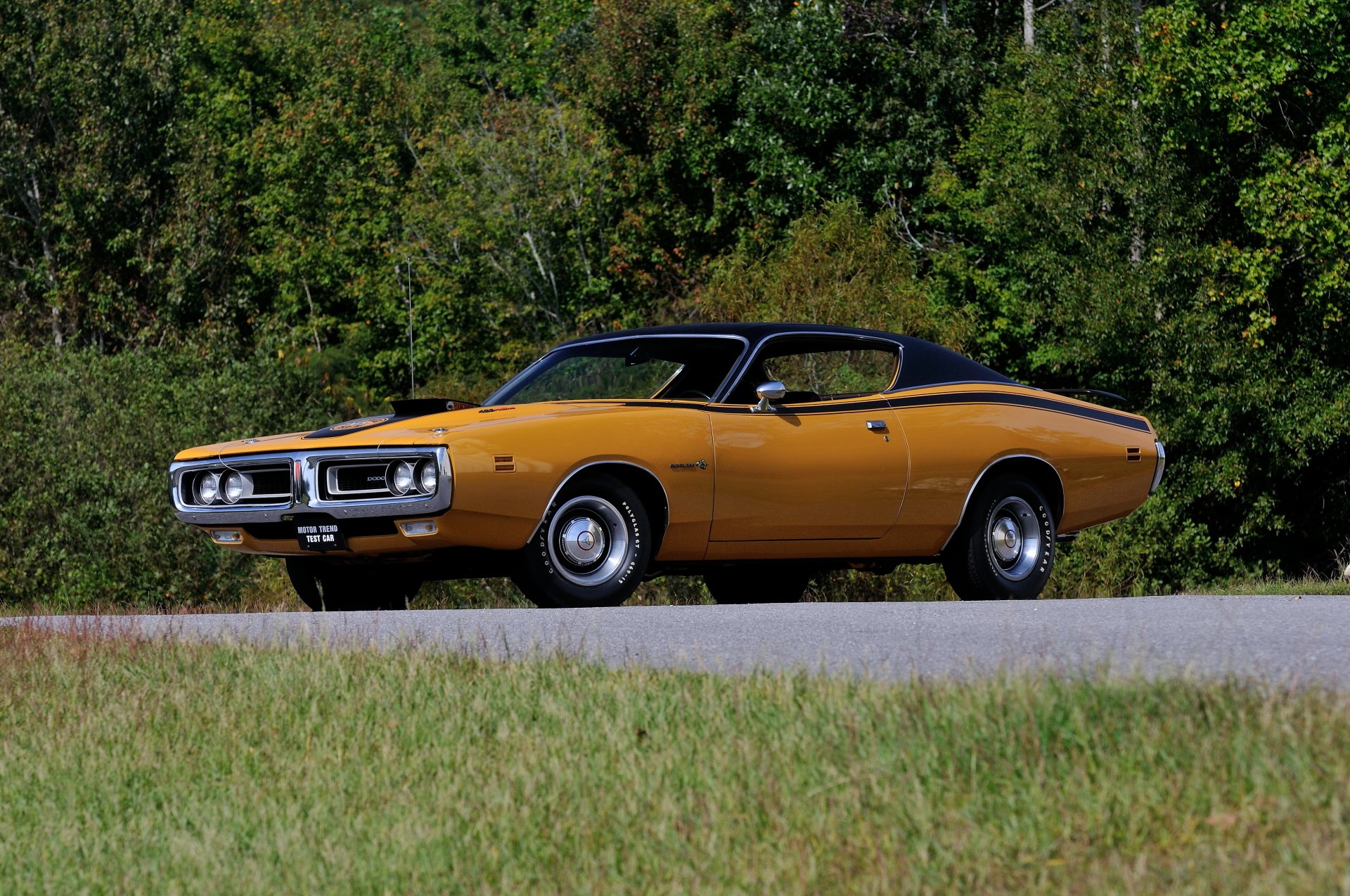 Dodge Charger Super Bee Wallpapers