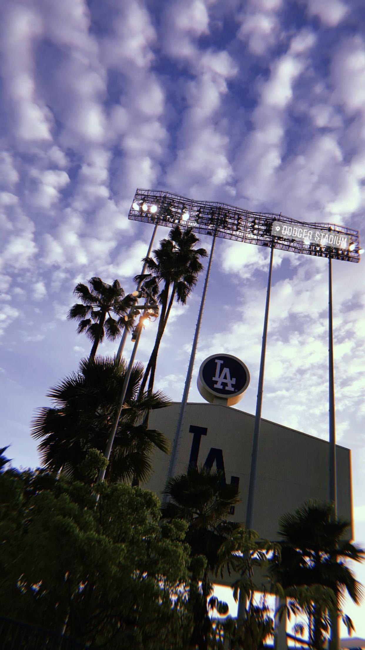 Dodger Stadium Palm Trees Wallpapers