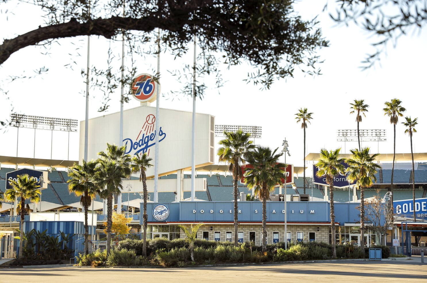 Dodger Stadium Palm Trees Wallpapers