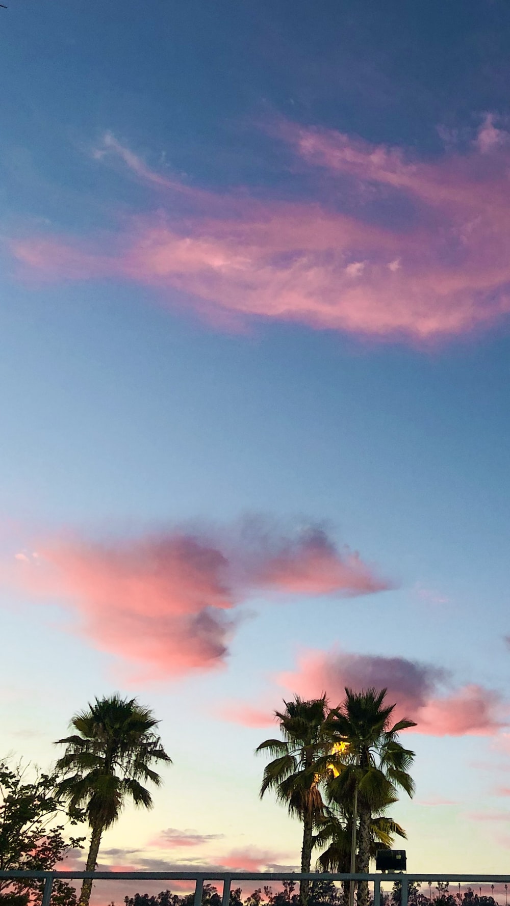 Dodger Stadium Palm Trees Wallpapers