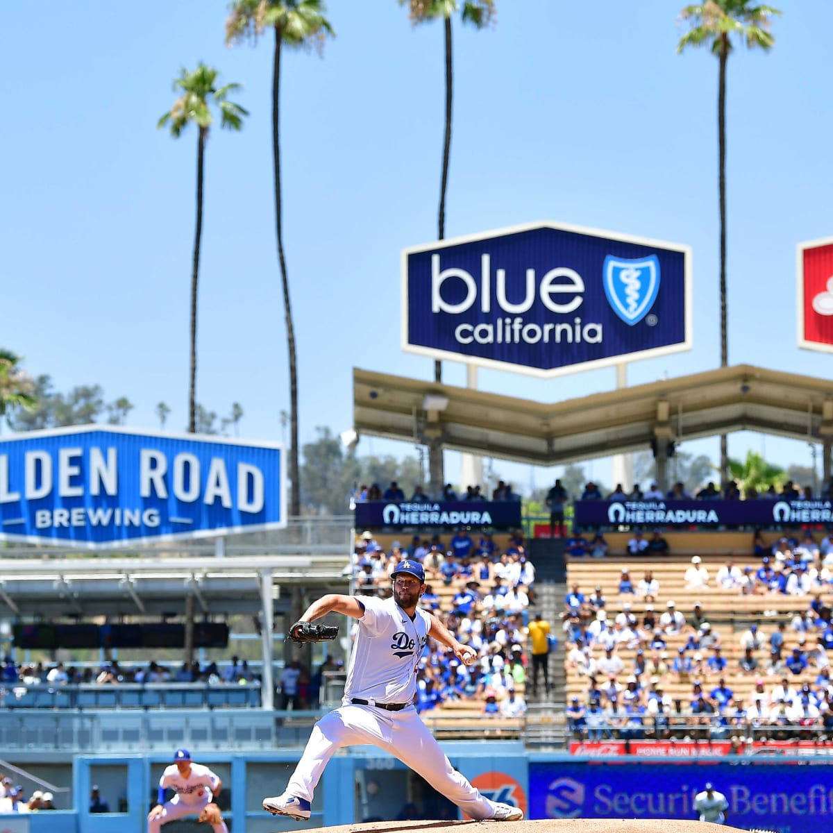 Dodger Stadium Palm Trees Wallpapers