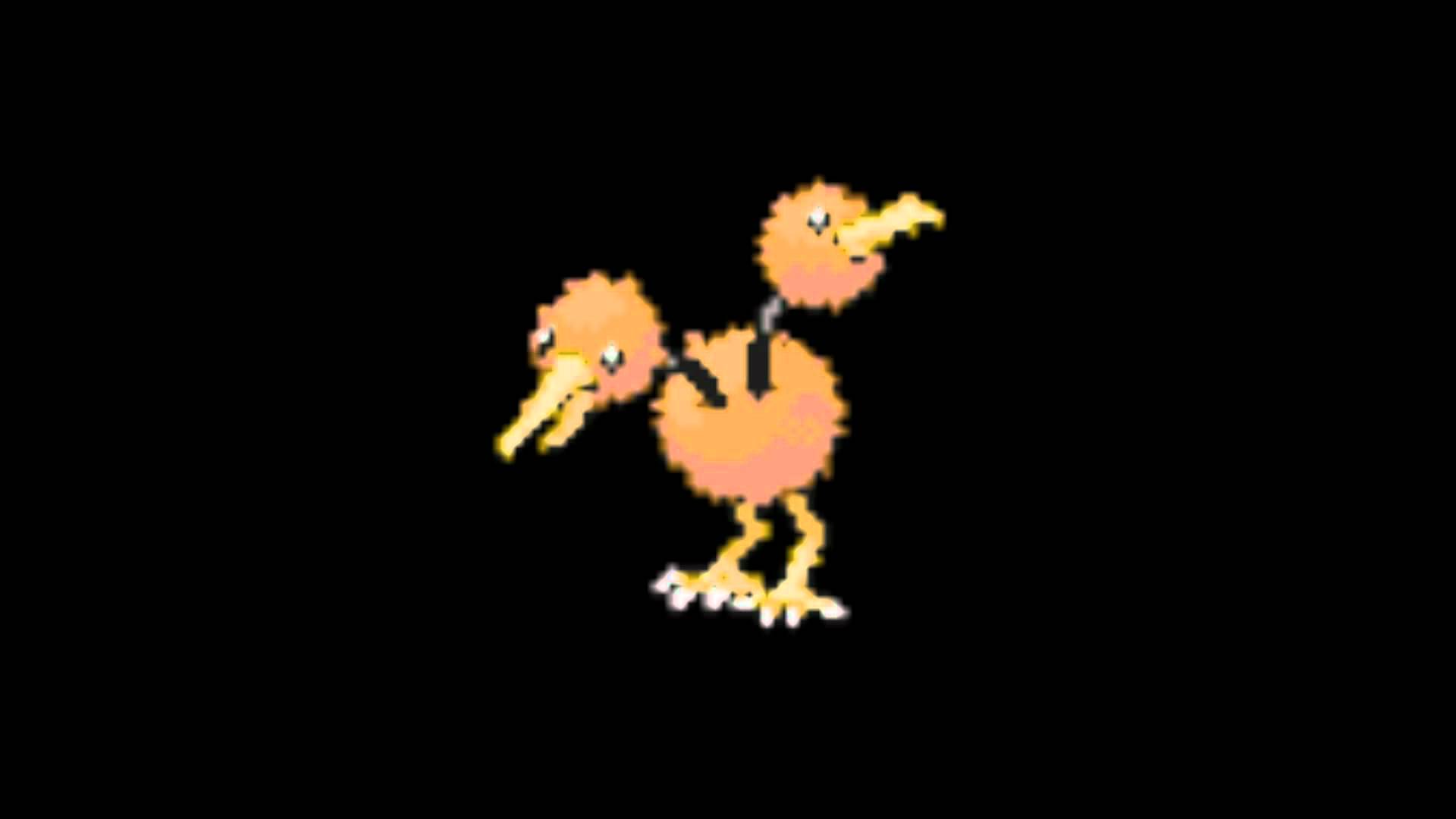 Doduo Hd Wallpapers