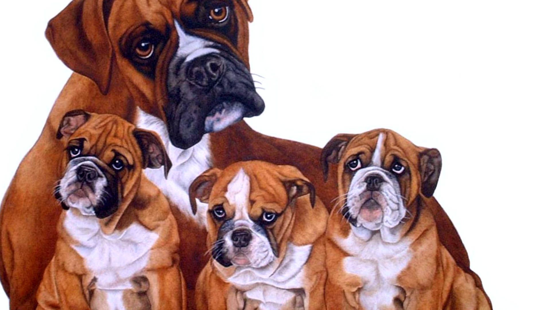 Dog Family Wallpapers