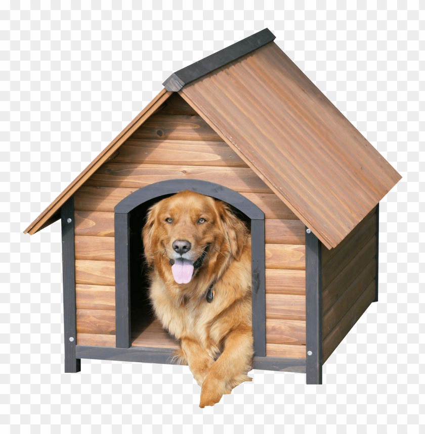 Dog House Background