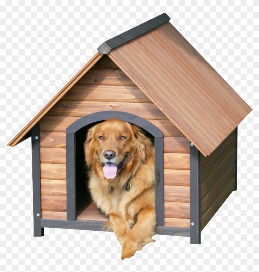 Dog House Background