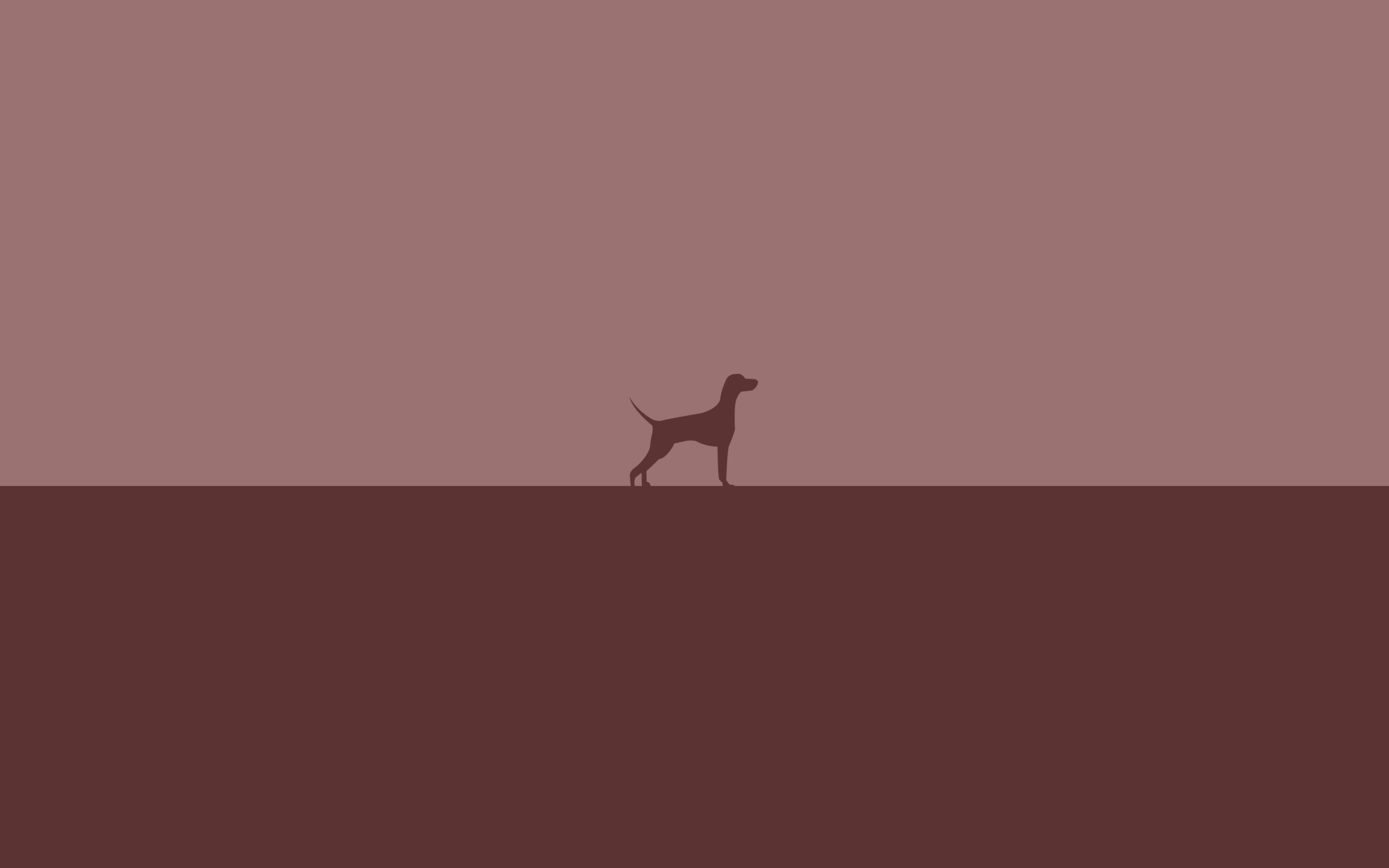 Dog Minimalism Wallpapers