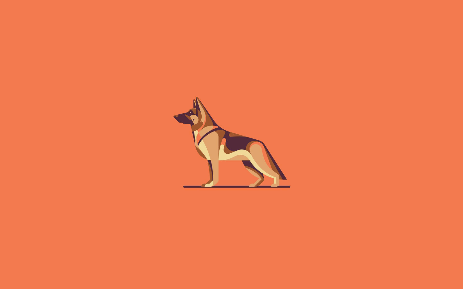 Dog Minimalism Wallpapers