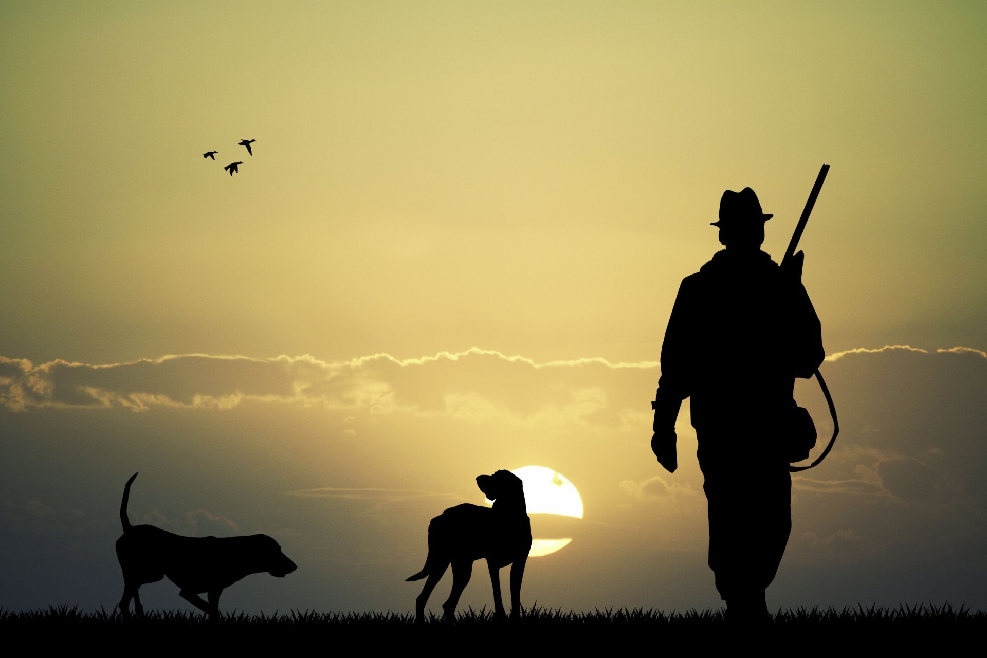 Dog Silhouette Wallpapers