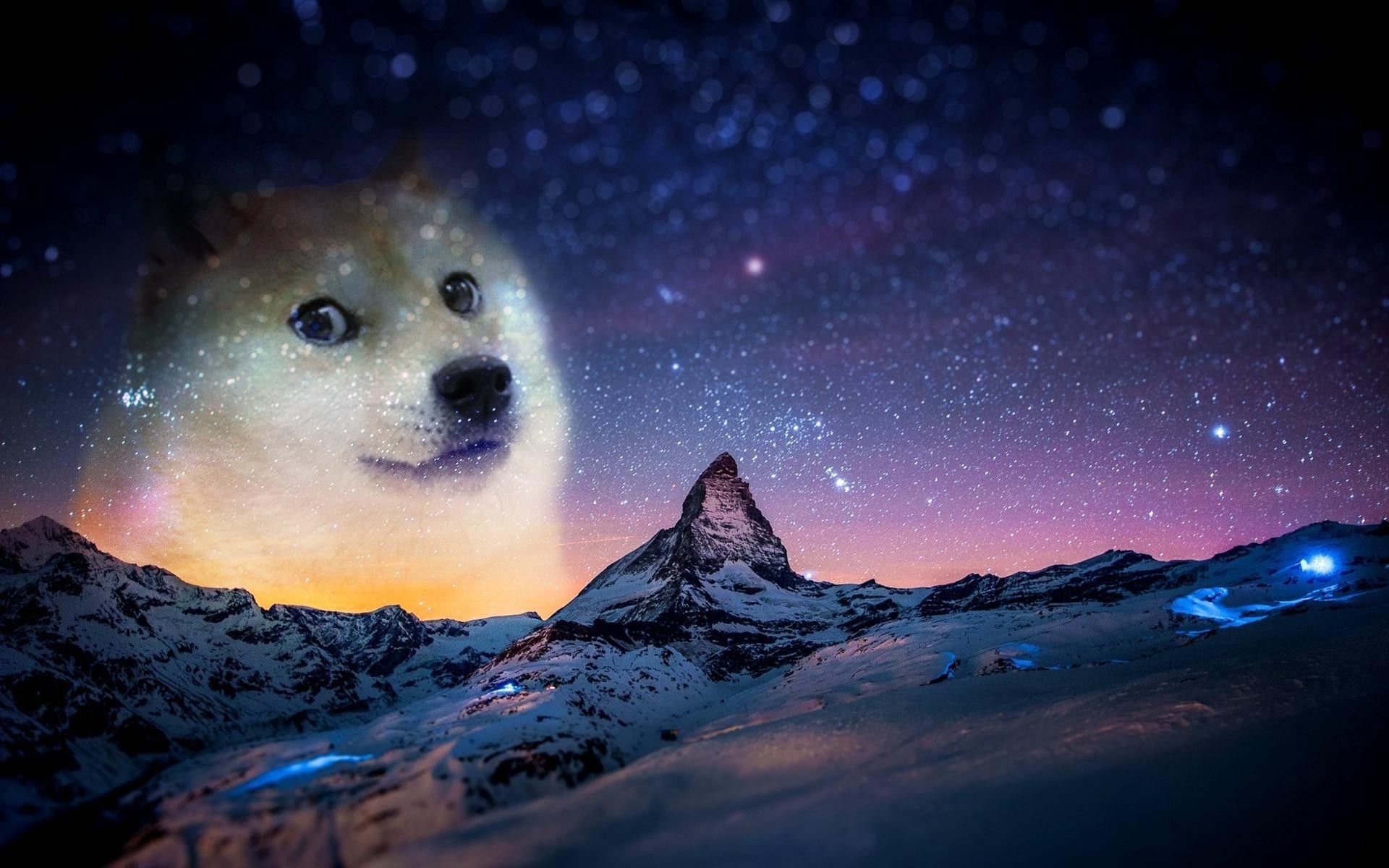 Dog With Garlic On Head In Space Wallpapers