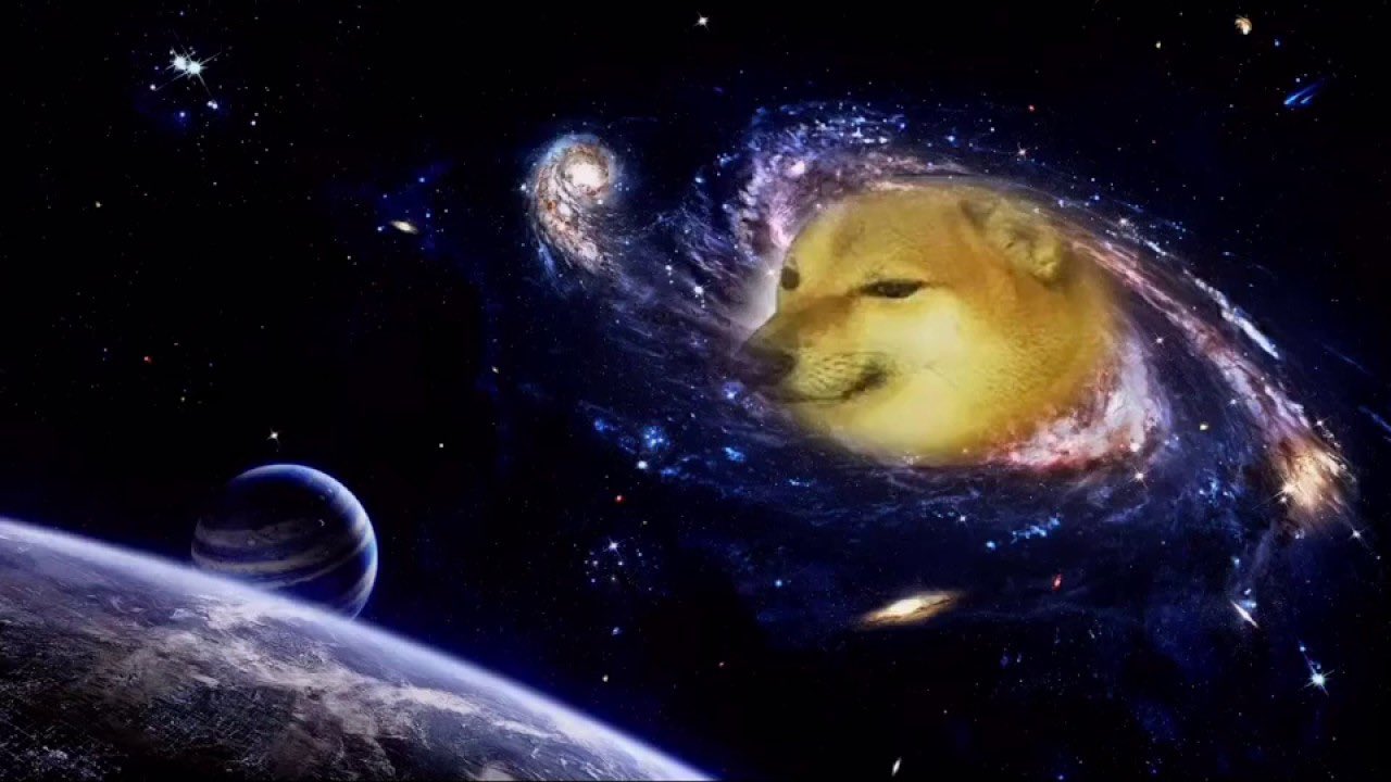 Dog With Garlic On Head In Space Wallpapers