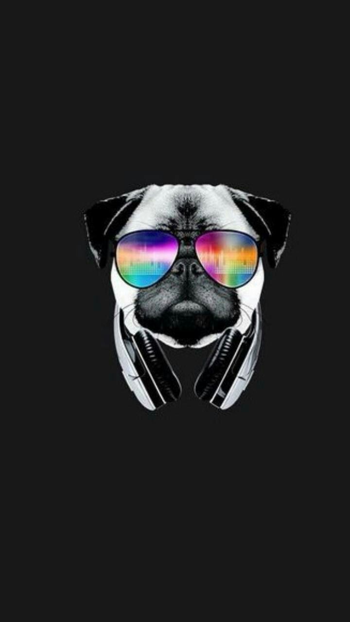 Dog With Sunglasses Wallpapers