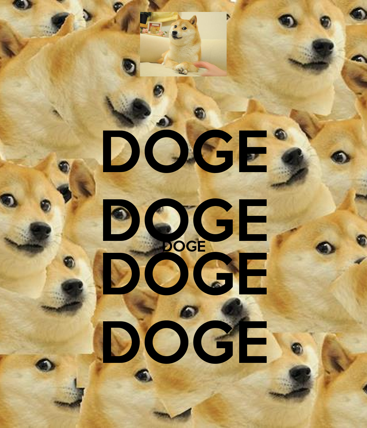 Doge Iphone Wallpapers