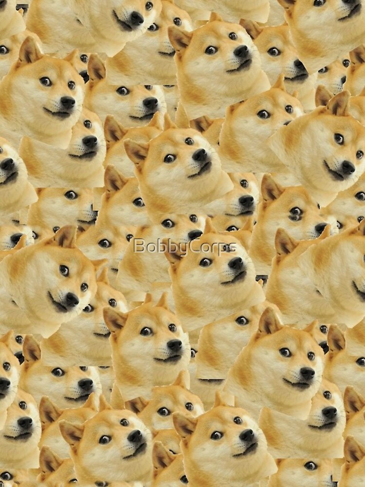 Doge Iphone Wallpapers