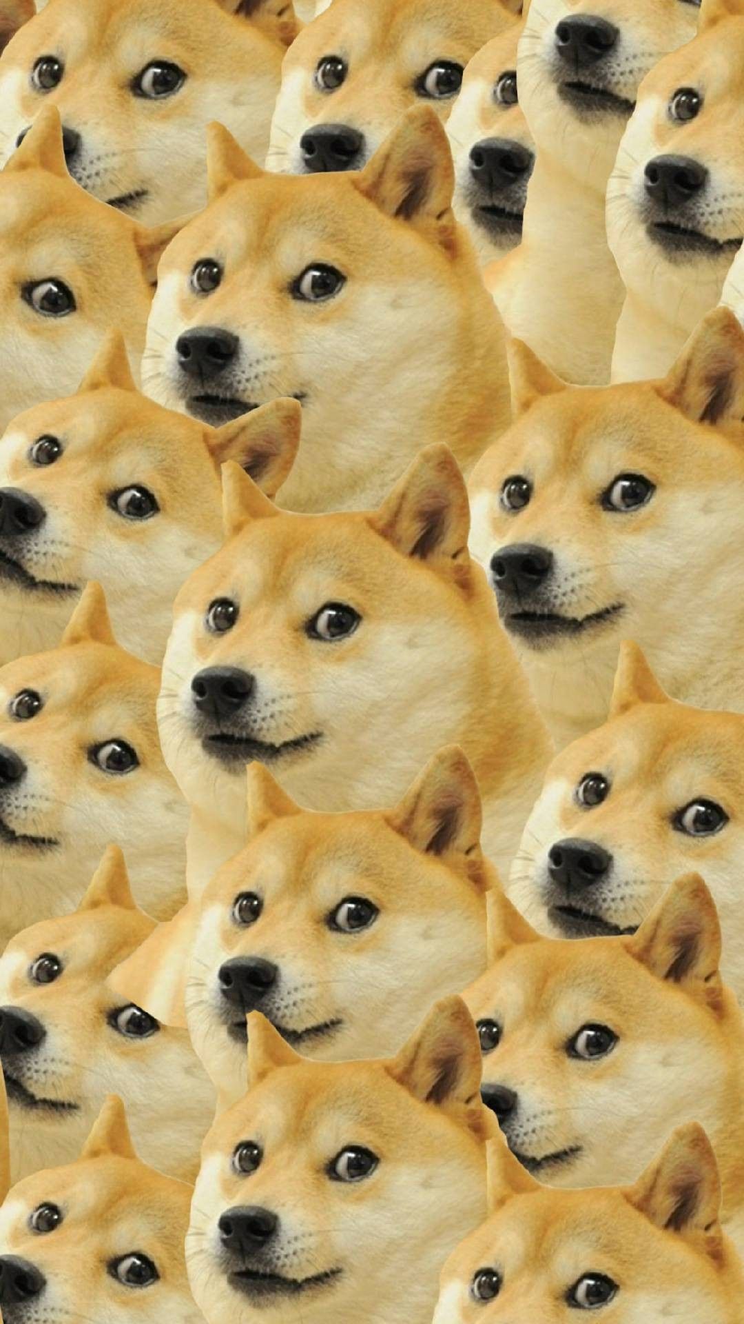 Doge Iphone Wallpapers