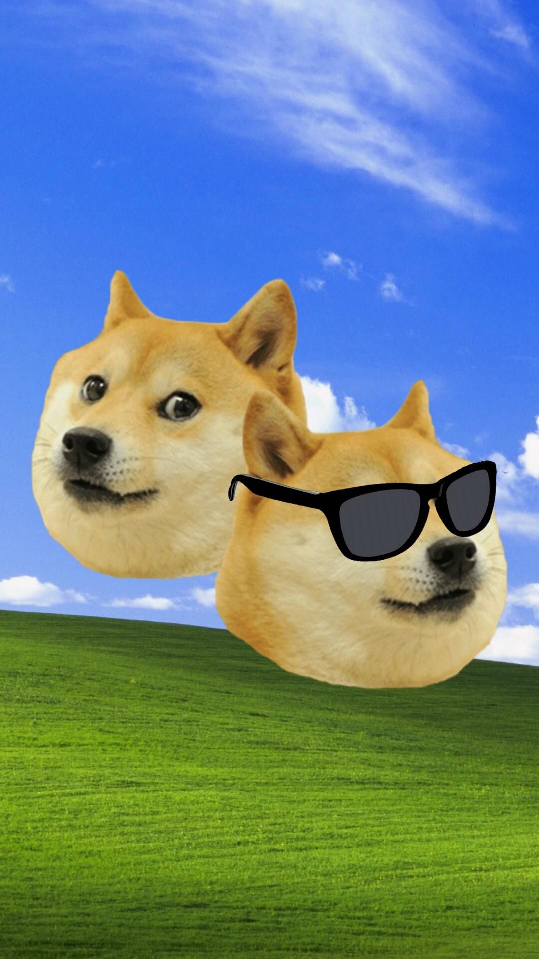 Doge Iphone Wallpapers