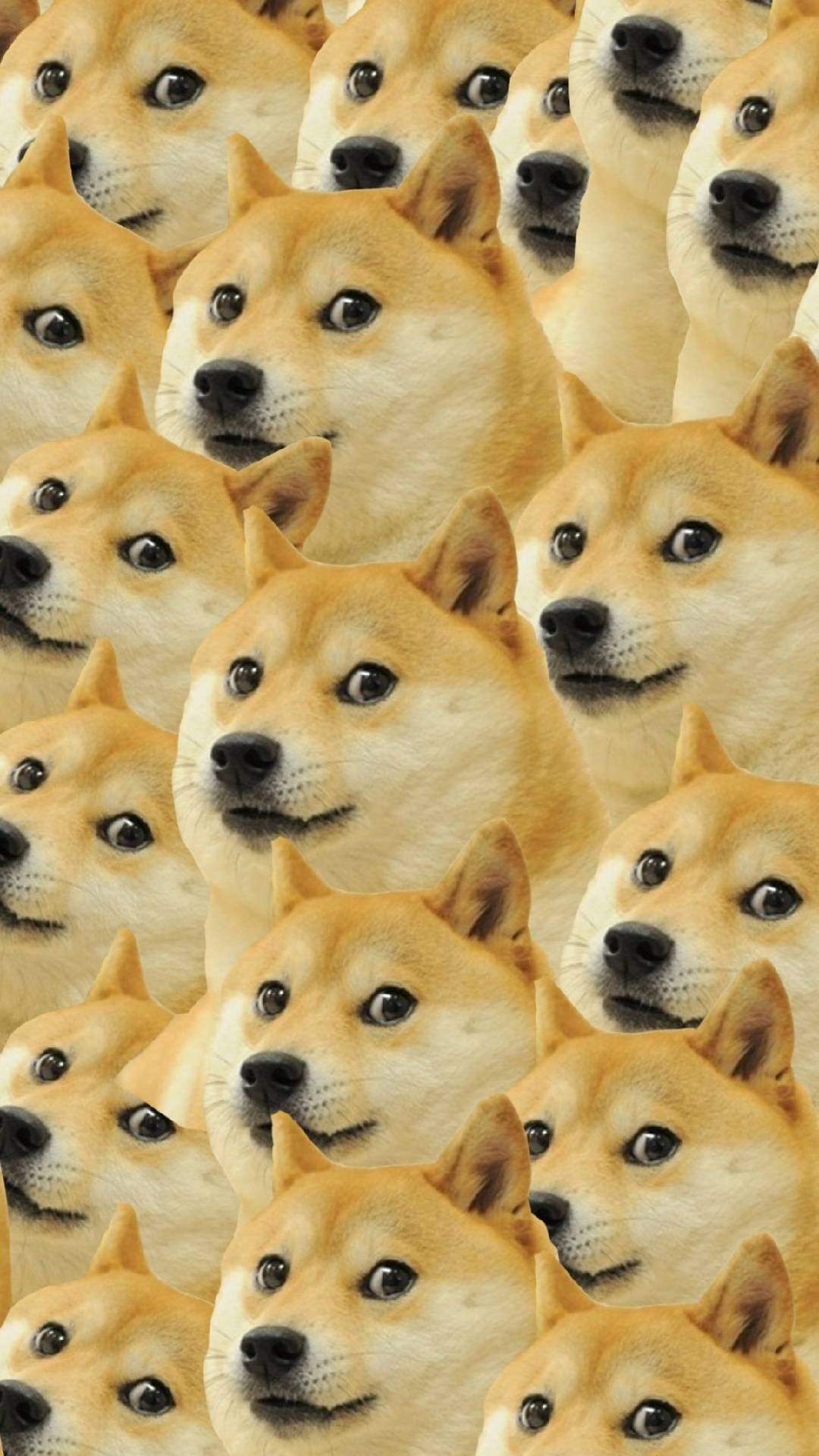 Doge Live Wallpapers