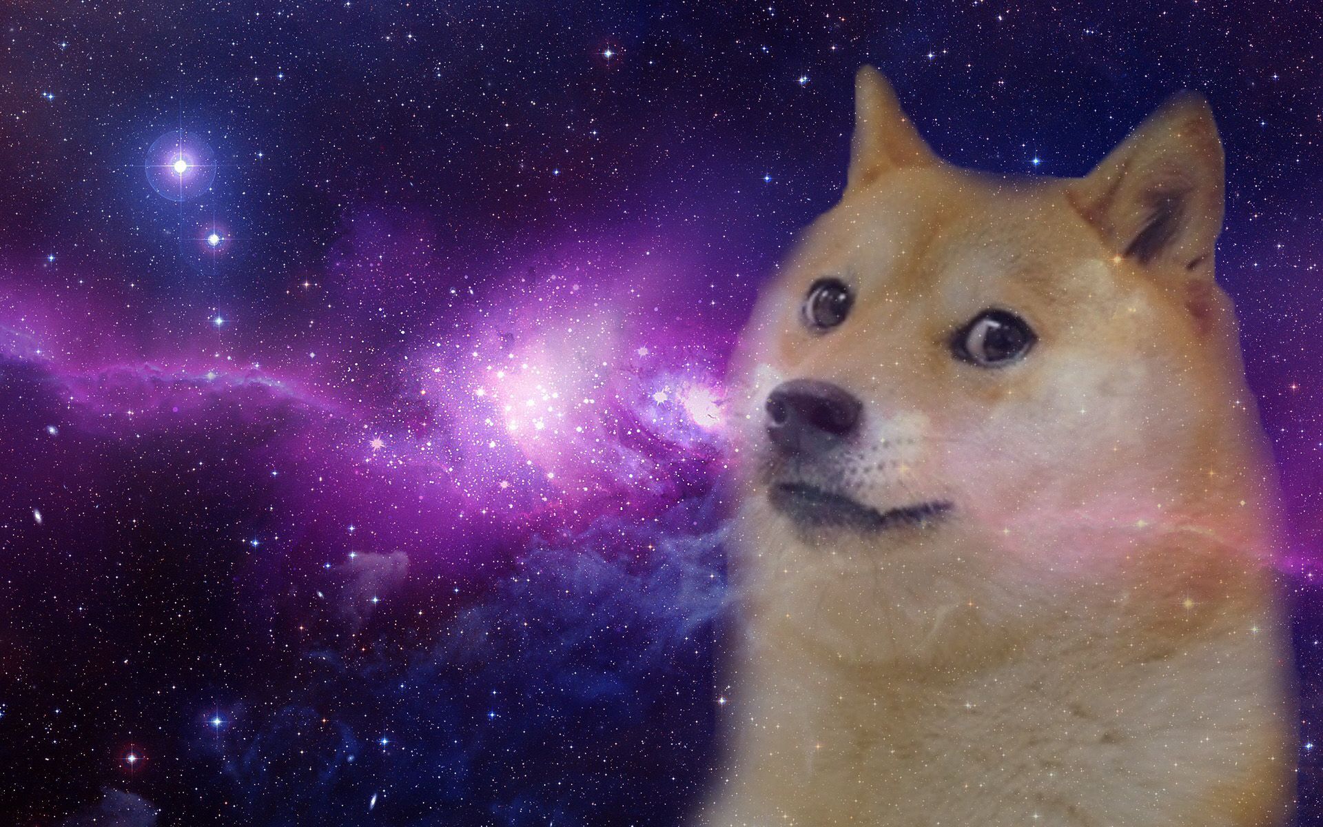 Doge Live Wallpapers