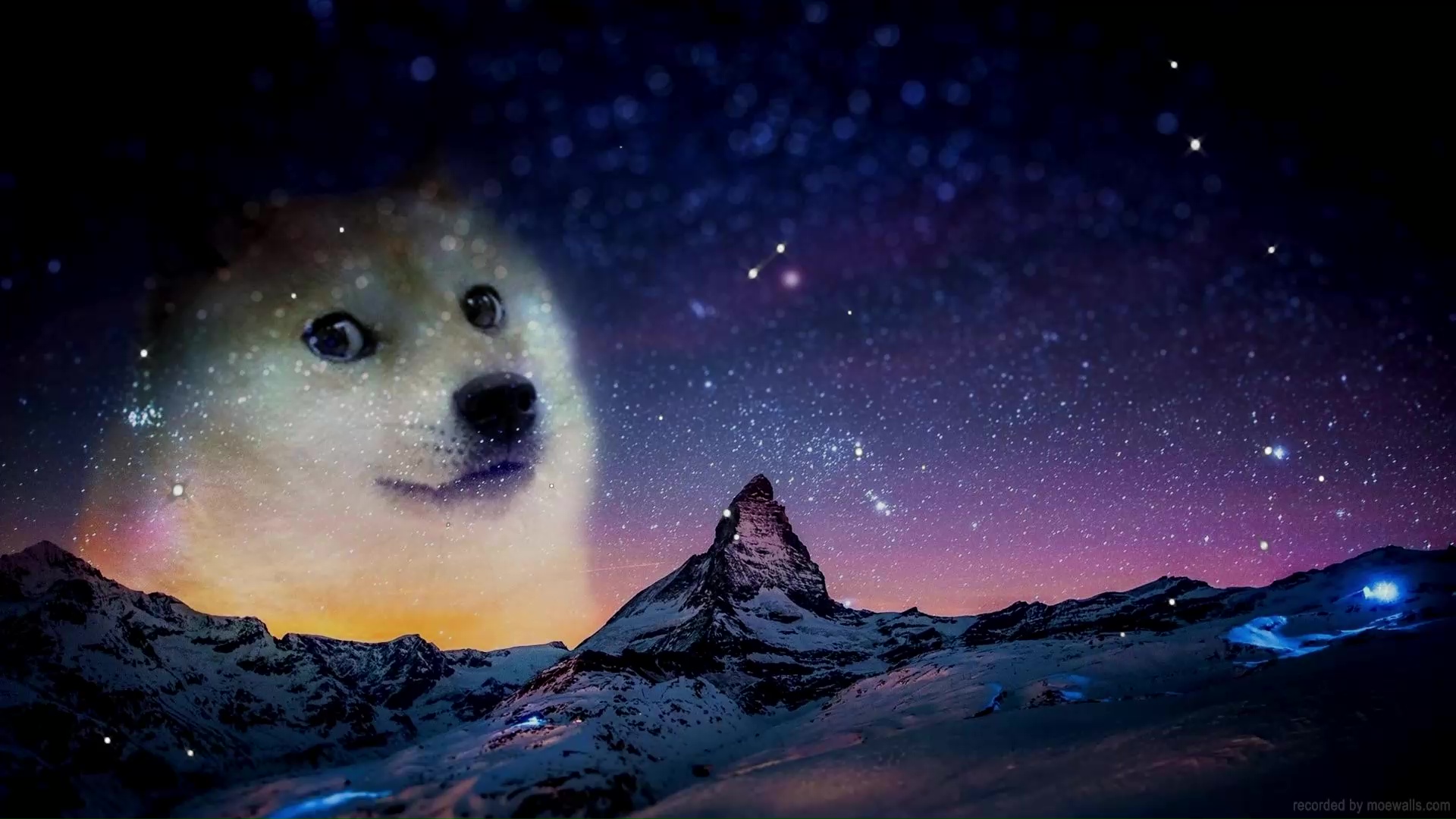 Doge Live Wallpapers