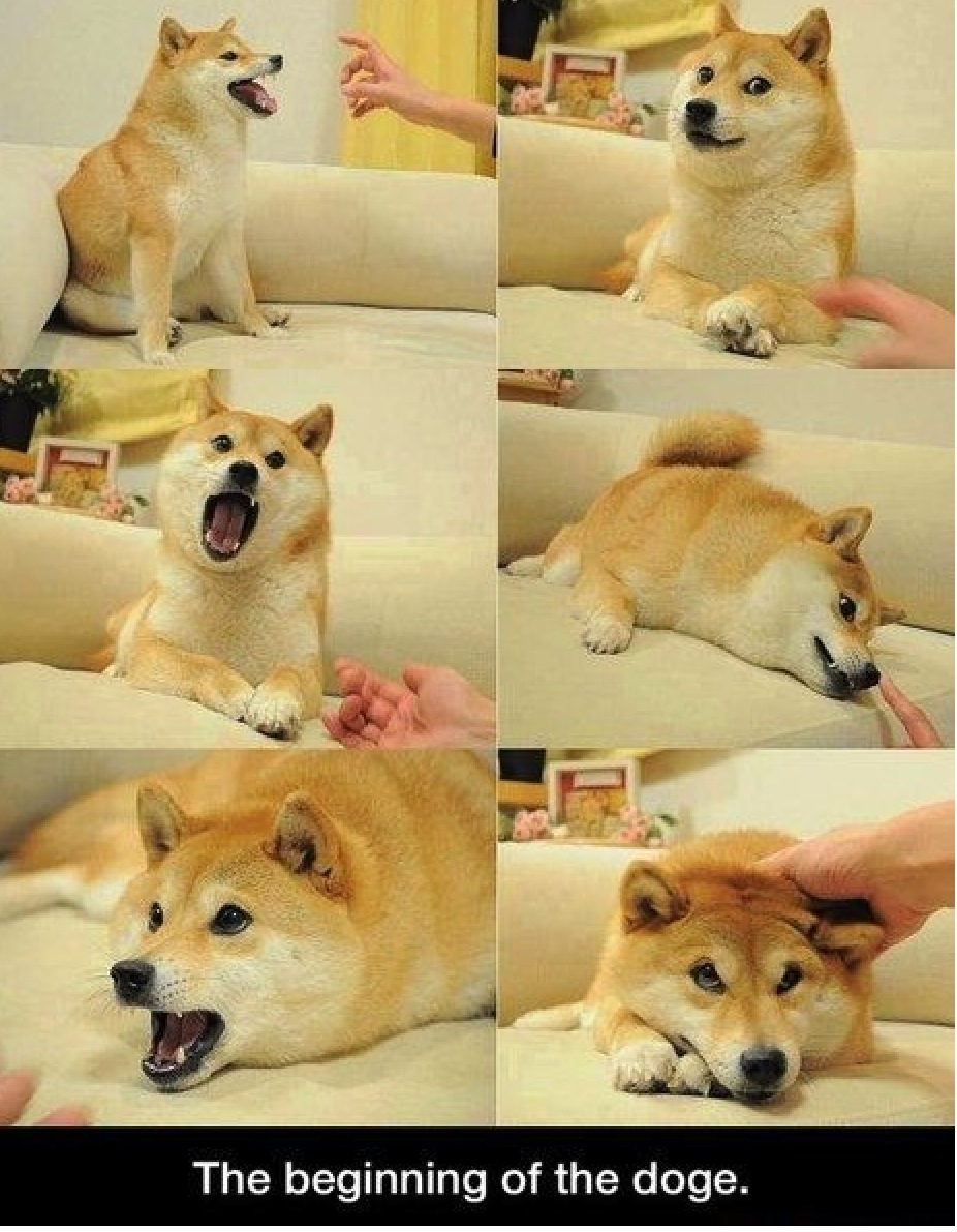 Doge Live Wallpapers