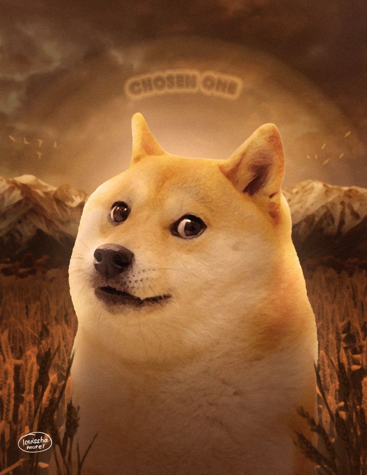 Doge Meme Wallpapers