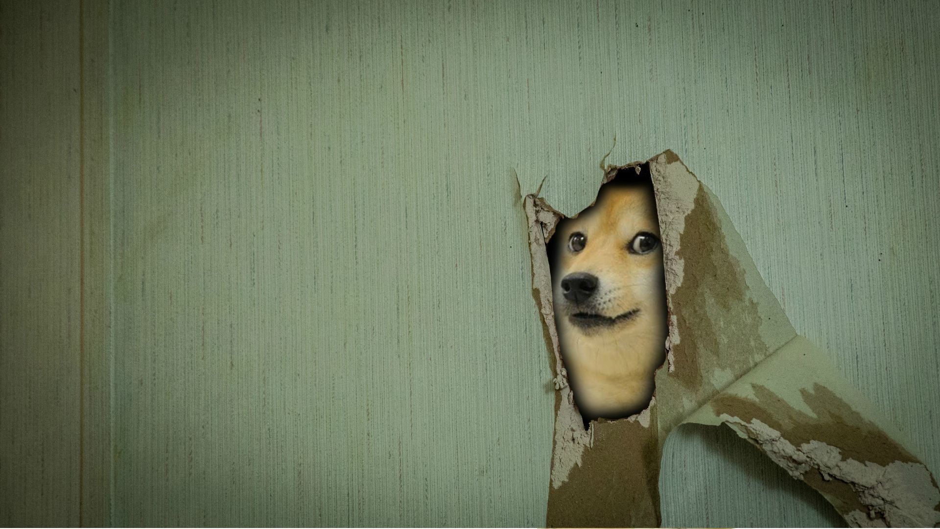 Doge Meme Wallpapers