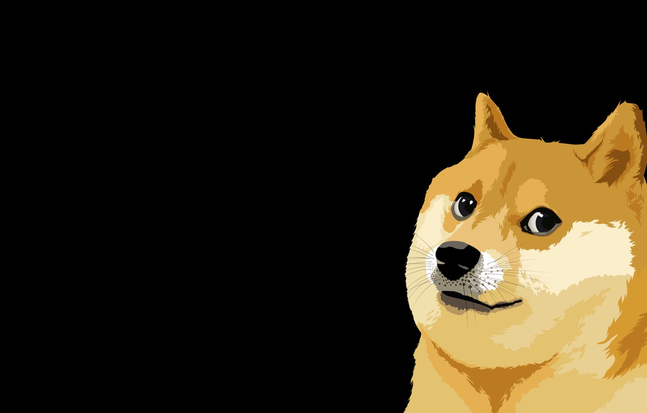 Doge Meme Wallpapers