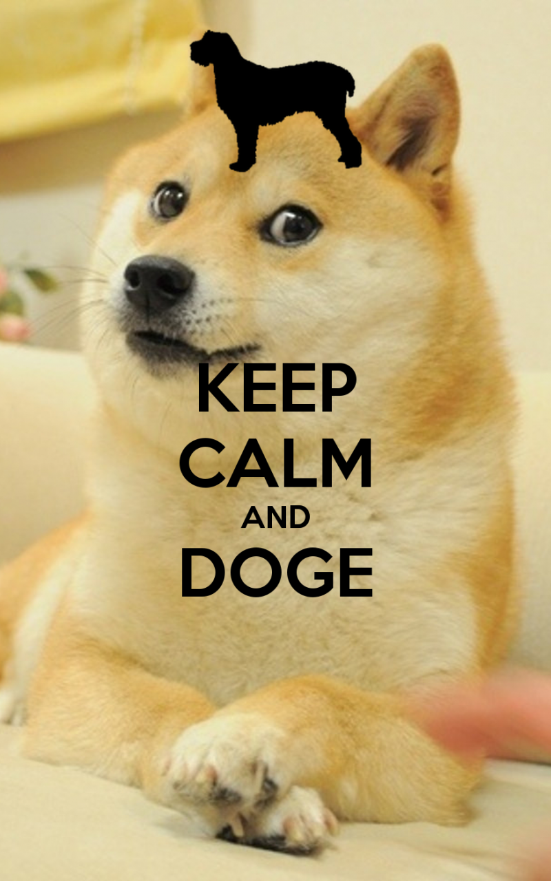 Doge Meme Wallpapers