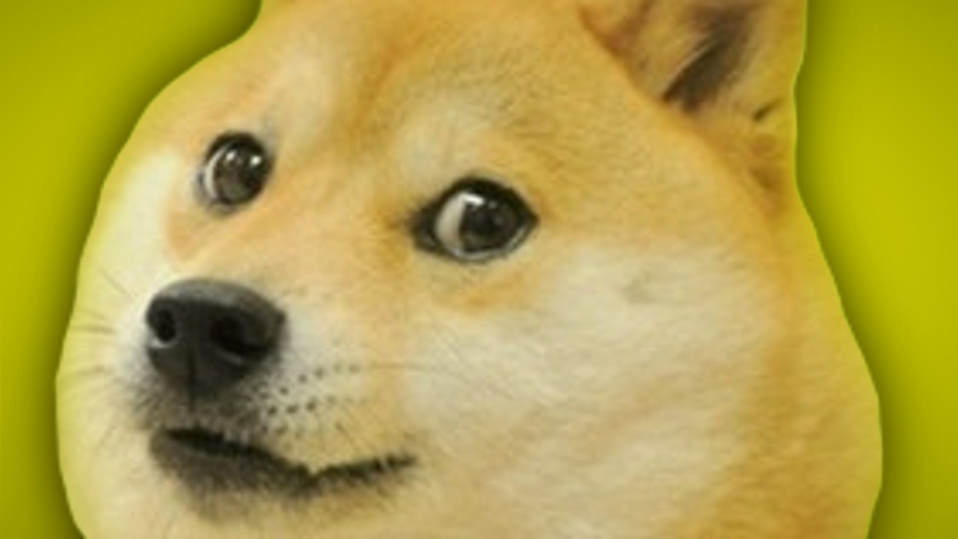 Doge Meme Wallpapers