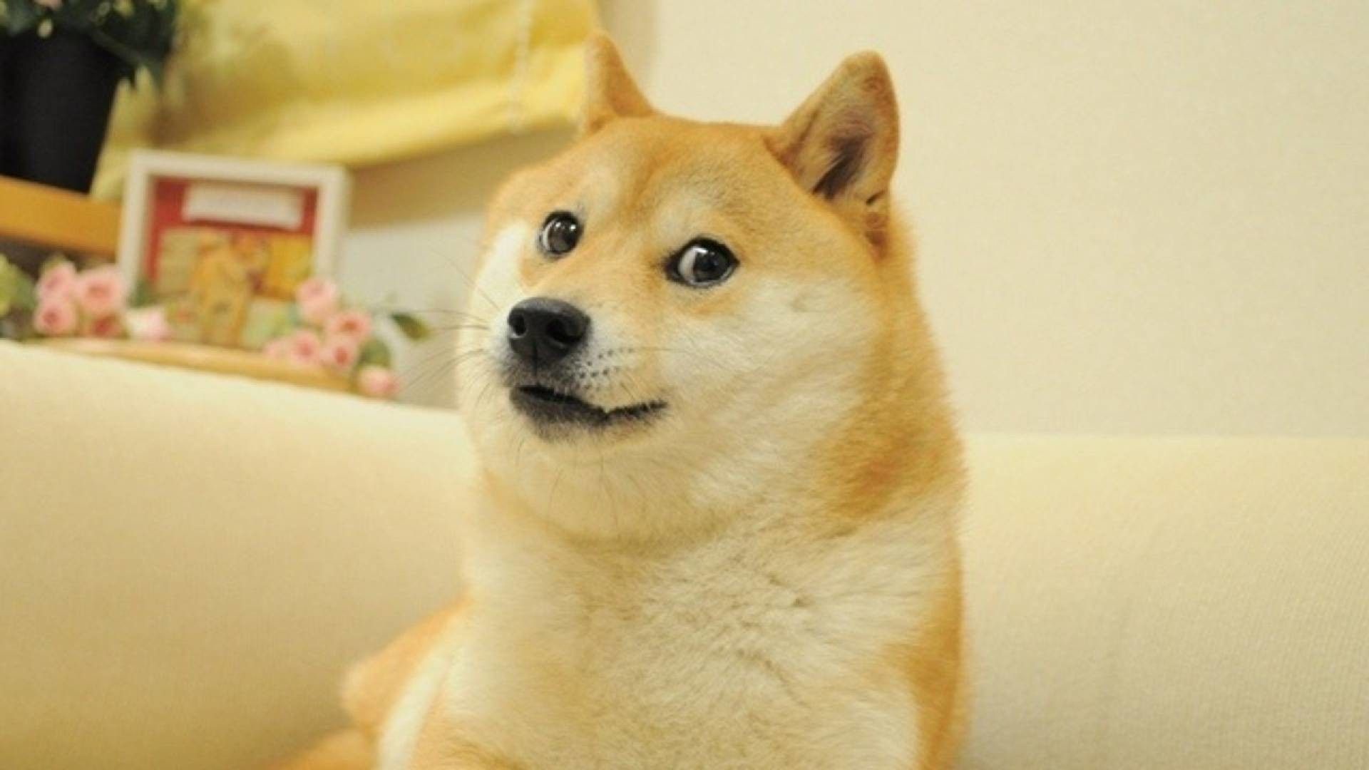 Doge Meme Wallpapers