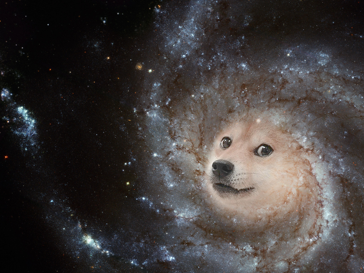 Doge Meme Wallpapers