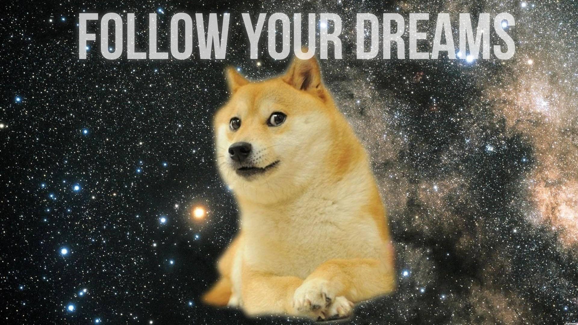 Doge Meme Wallpapers