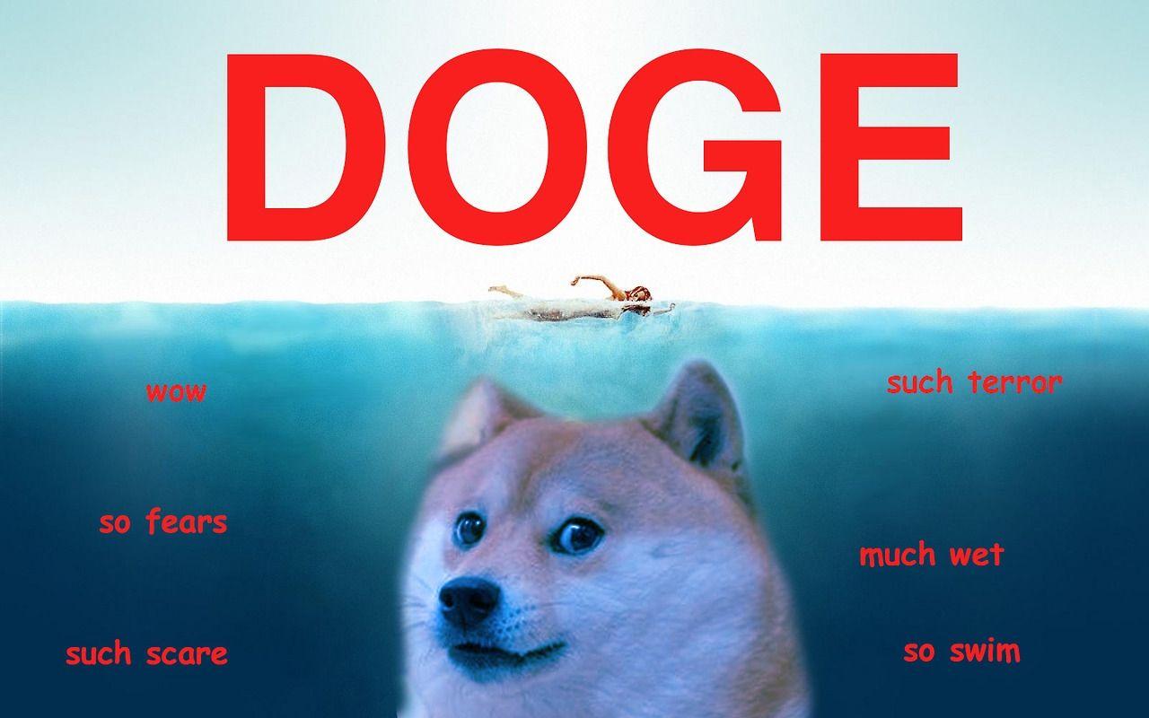 Doge Meme Wallpapers