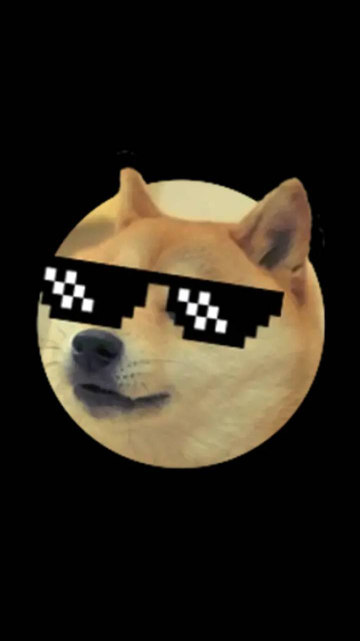 Doge Meme Wallpapers