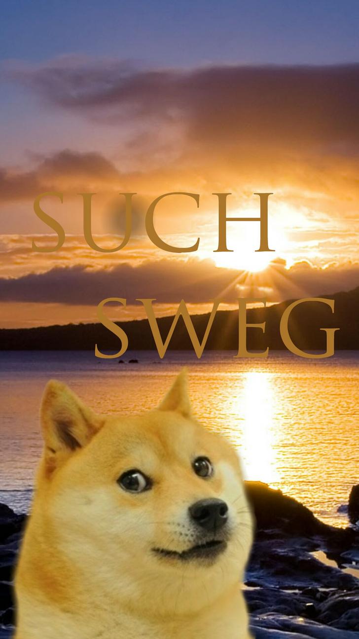 Doge Meme Wallpapers