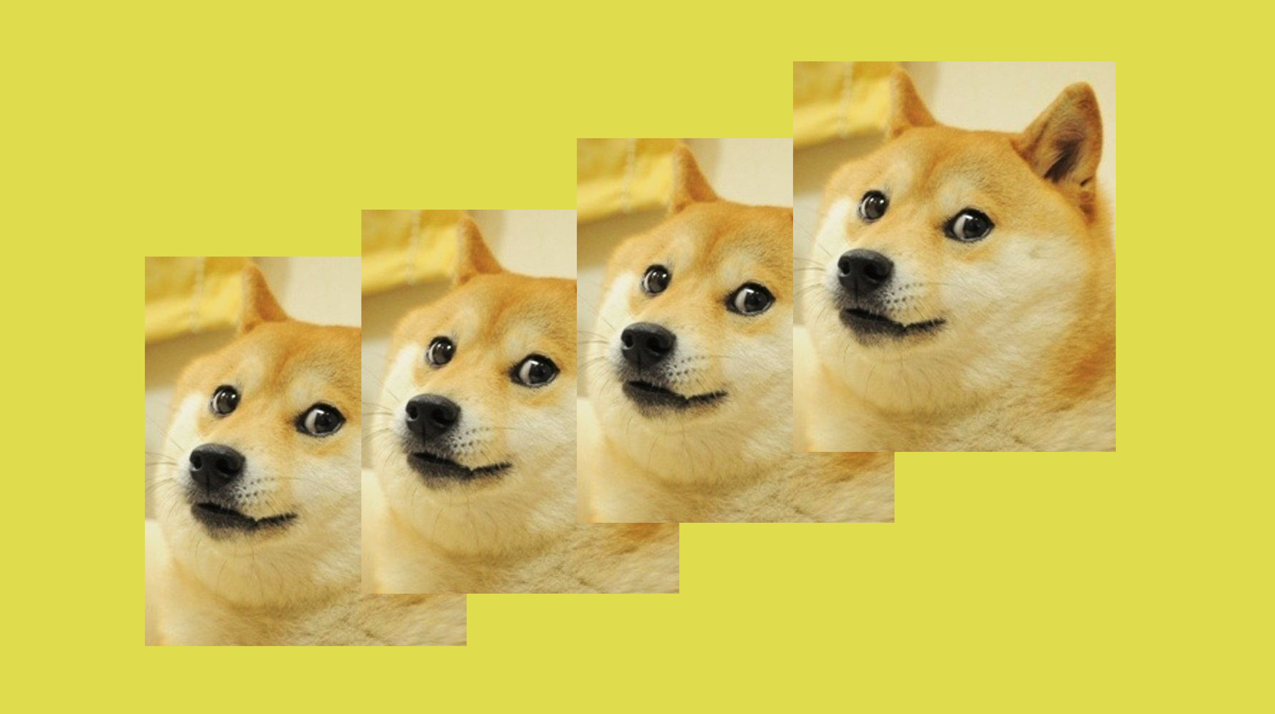 Doge Wallpapers