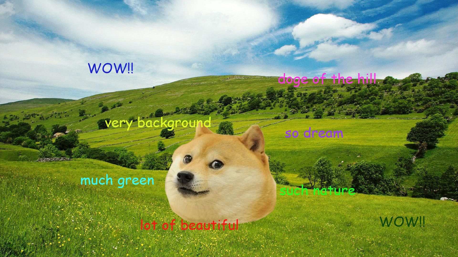 Doge Wallpapers