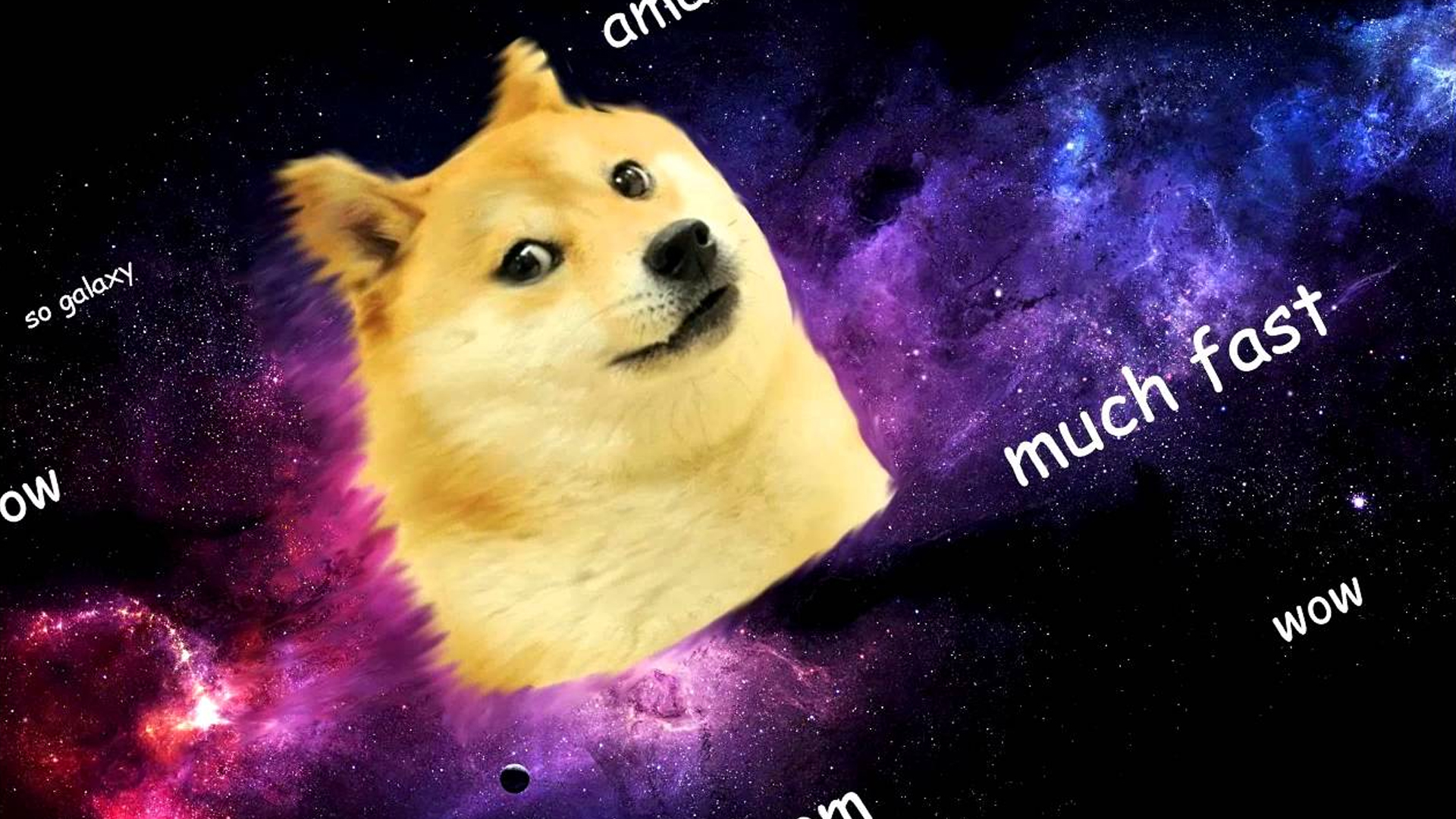 Doge Wallpapers