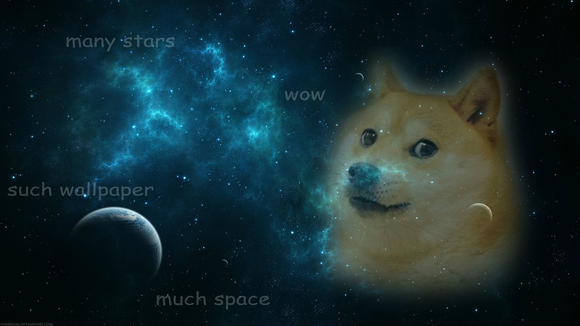 Doge Wallpapers