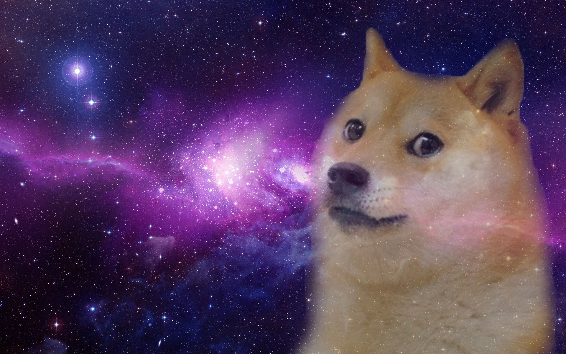 Doge Wallpapers