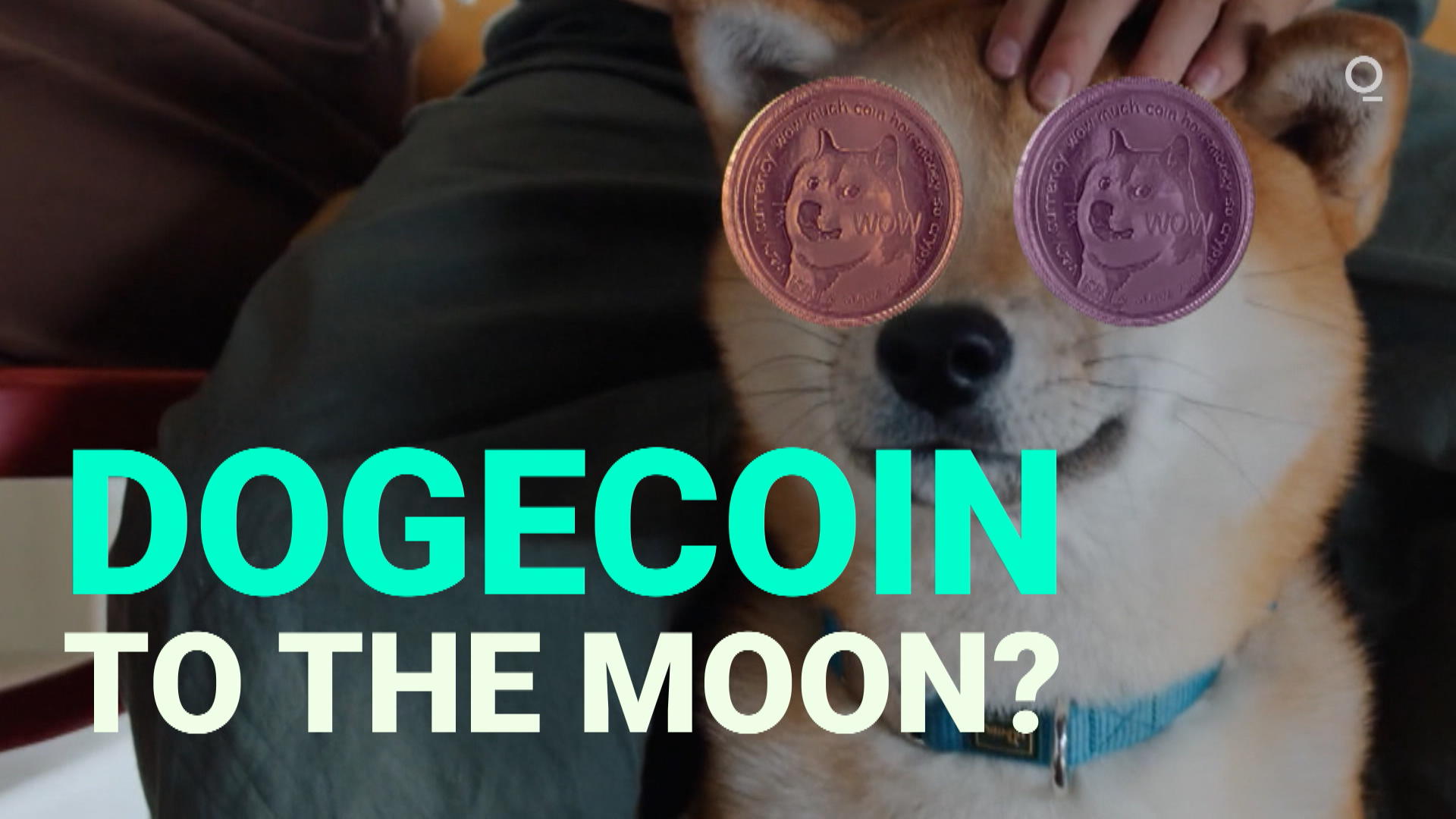 Dogecoin Money Wallpapers