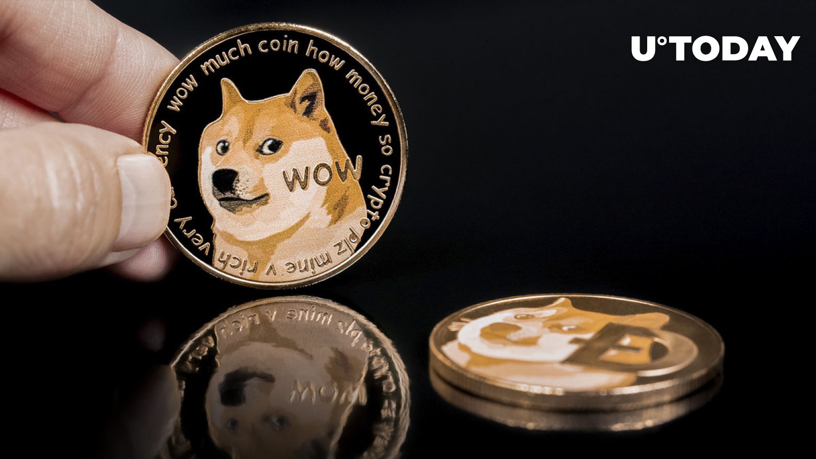 Dogecoin Money Wallpapers