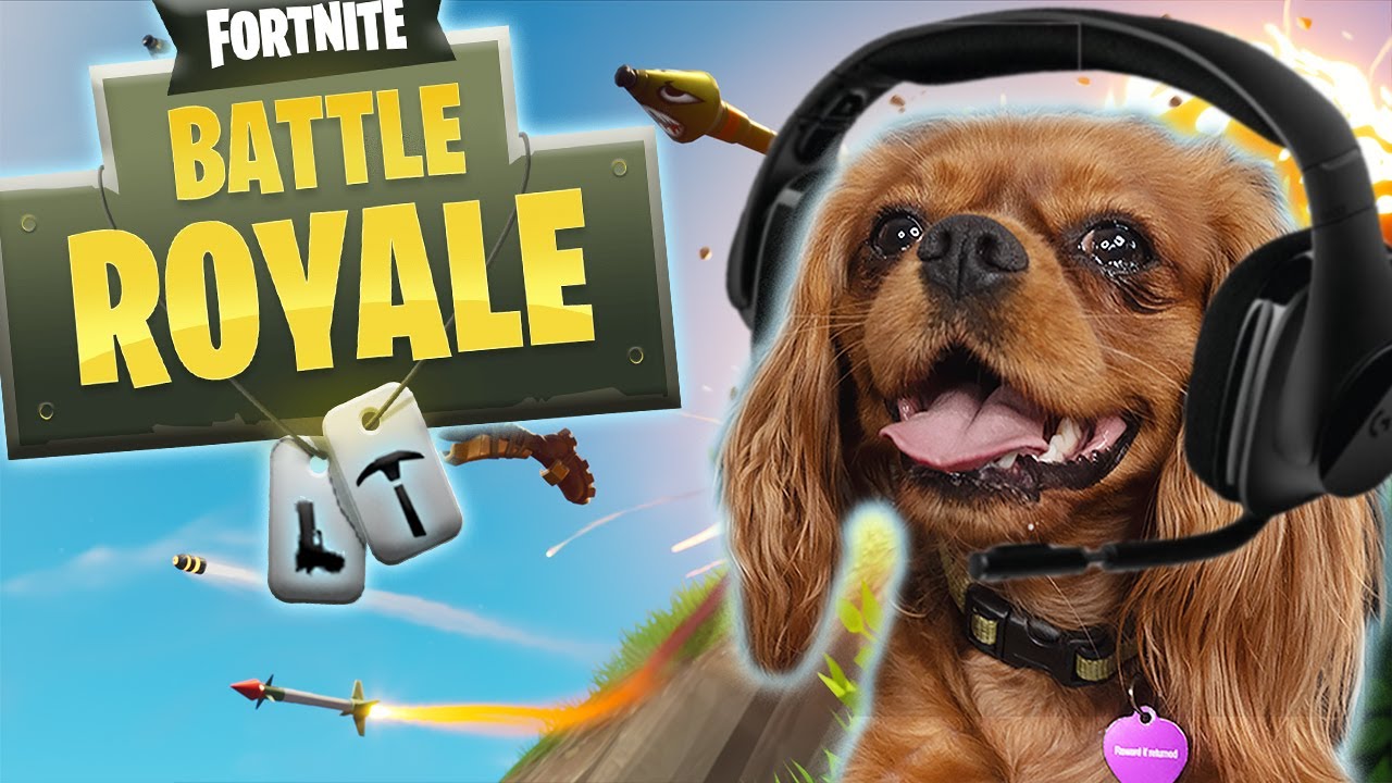 Doggo Fortnite Wallpapers